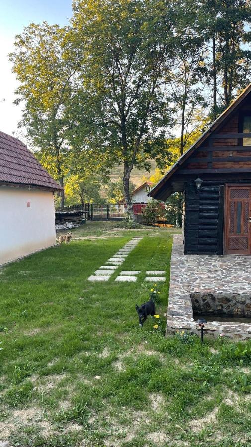 Cabana Paulina Chiscau Экстерьер фото